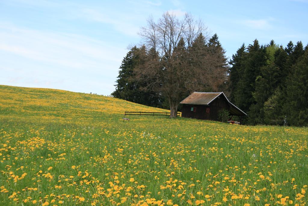 Hotel Allgaeuer Hof Oberstaufen Extérieur photo